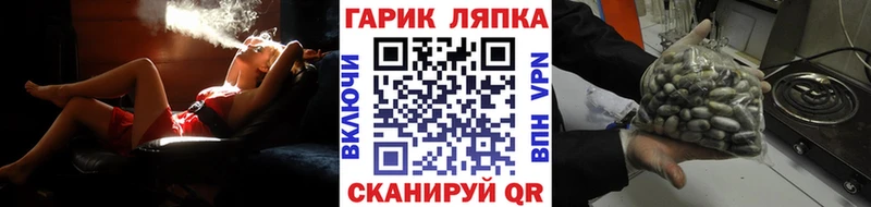 Купить закладки  Северск  ГАШ гарик 