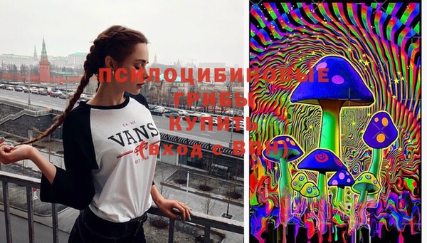 МДПВ Россошь