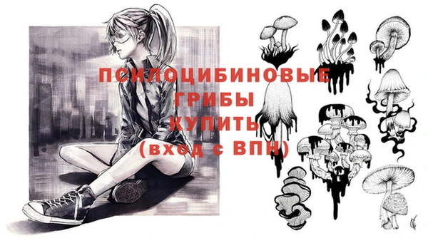 МДПВ Россошь